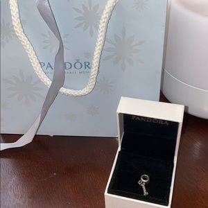Pandora I Love My Dog charm
